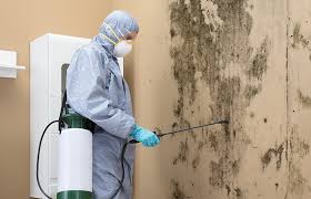 Professional Mold Removal & Remediation in Raceland, KY